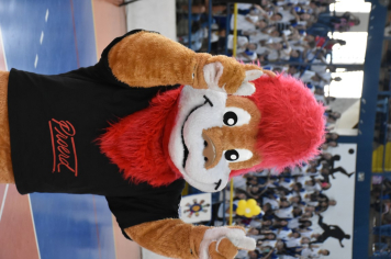 Foto - Proerd 2024 realiza Formatura de alunos da Rede de Ensino de Botucatu