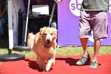 Foto - Aniversário de Botucatu - Cãopanheiro