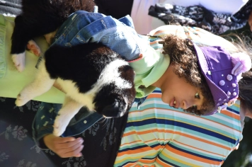Foto - Aniversário de Botucatu - Cãopanheiro