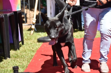 Foto - Aniversário de Botucatu - Cãopanheiro
