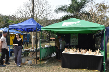 Foto - 27ª Edição da Feira do Verde/2024