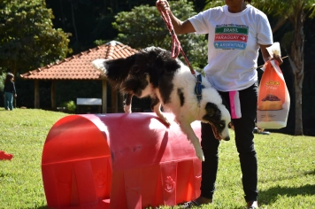 Foto - Aniversário de Botucatu - Cãopanheiro