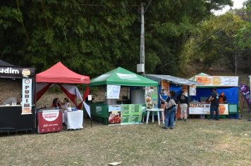 Foto - 27ª Edição da Feira do Verde/2024