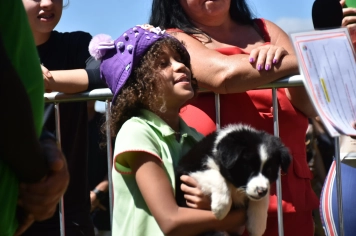 Foto - Aniversário de Botucatu - Cãopanheiro