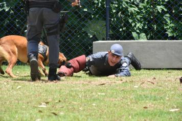 Foto - Inauguração do Parque Linear Rio Lavapés