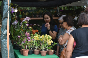 Foto - 27ª Edição da Feira do Verde/2024