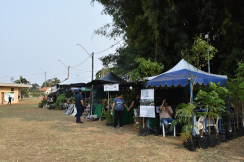 Foto - 27ª Edição da Feira do Verde/2024