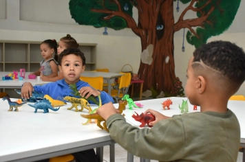 Foto - Volta às aulas 2026
