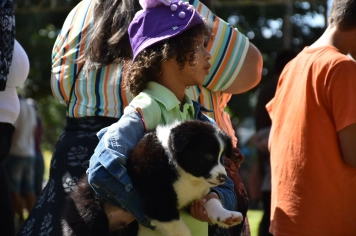 Foto - Aniversário de Botucatu - Cãopanheiro