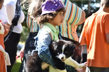 Foto - Aniversário de Botucatu - Cãopanheiro