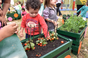 Foto - Escola municipal de educação infantil recebe novo espaço lúdico e parquinho infantil