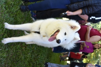 Foto - Aniversário de Botucatu - Cãopanheiro