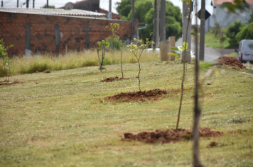 Foto - Lançamento do Programa Botucatu Cidade Viva