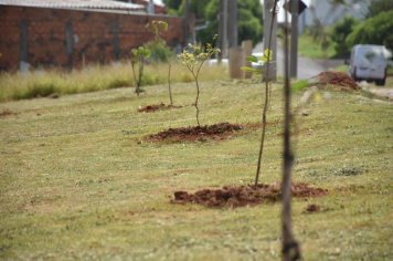 Foto - Lançamento do Programa Botucatu Cidade Viva