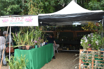 Foto - 27ª Edição da Feira do Verde/2024