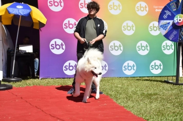 Foto - Aniversário de Botucatu - Cãopanheiro