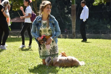Foto - Aniversário de Botucatu - Cãopanheiro