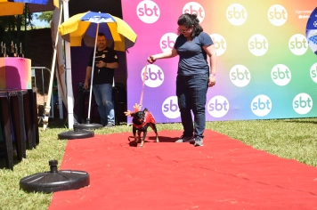 Foto - Aniversário de Botucatu - Cãopanheiro