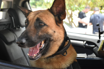 Foto - Inauguração do Parque Linear Rio Lavapés