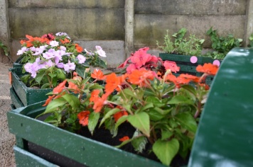 Foto - Escola municipal de educação infantil ganha espaço interativo para os alunos