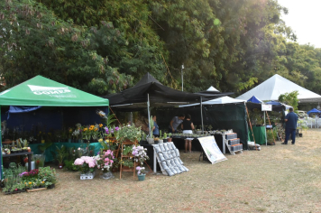 Foto - 27ª Edição da Feira do Verde/2024