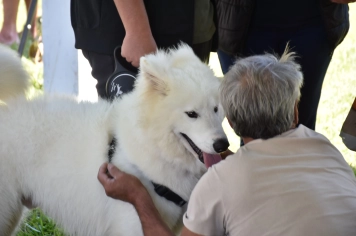 Foto - Aniversário de Botucatu - Cãopanheiro