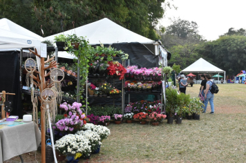 Foto - 27ª Edição da Feira do Verde/2024