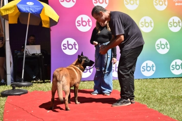 Foto - Aniversário de Botucatu - Cãopanheiro
