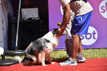 Foto - Aniversário de Botucatu - Cãopanheiro