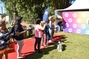 Foto - Aniversário de Botucatu - Cãopanheiro