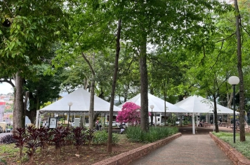 Feira de Saúde promove serviços e cuidados gratuitos neste sábado, 15