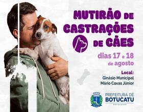 Prefeitura realizará mutirão de castração gratuita para cães