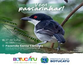 Julho na Fazenda Santa Cândida: Vem Passarinhar com a gente em Botucatu