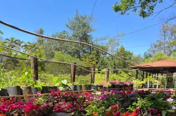 Viveiro Municipal: a força da arborização urbana e da educação ambiental em Botucatu