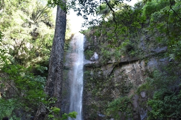 Das paisagens às águas: os destinos mais encantadores de Botucatu