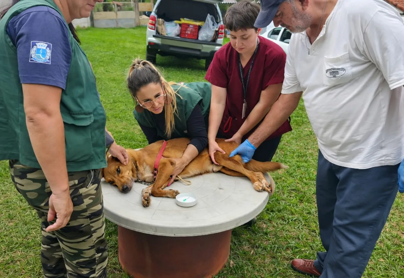 Prefeitura intensifica monitoramento da Leishmaniose Visceral Canina