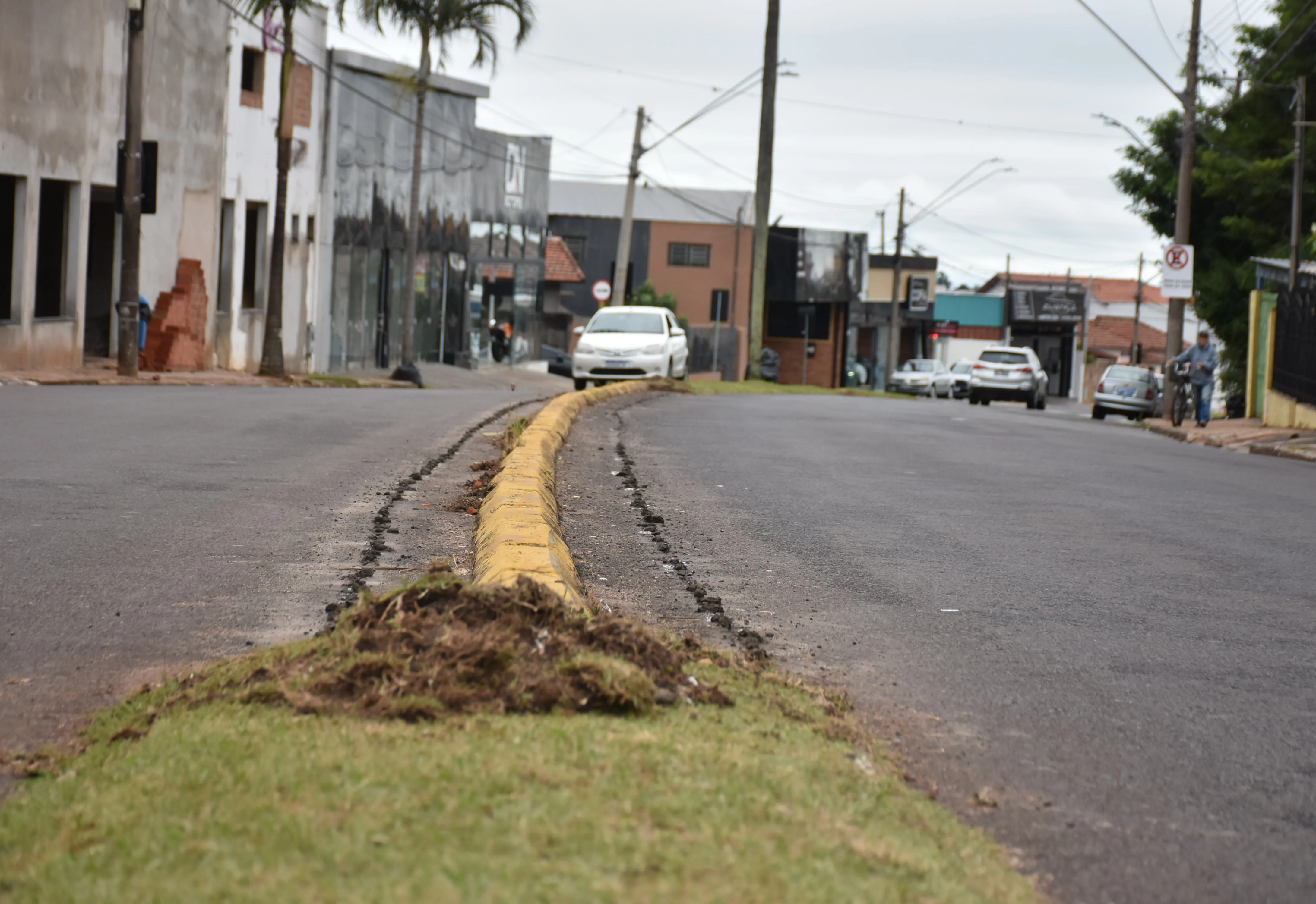 Avenida Vital Brasil recebe revitalização dos canteiros centrais