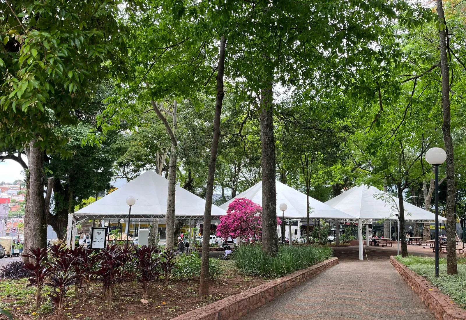 Feira de Saúde promove serviços e cuidados gratuitos neste sábado, 15