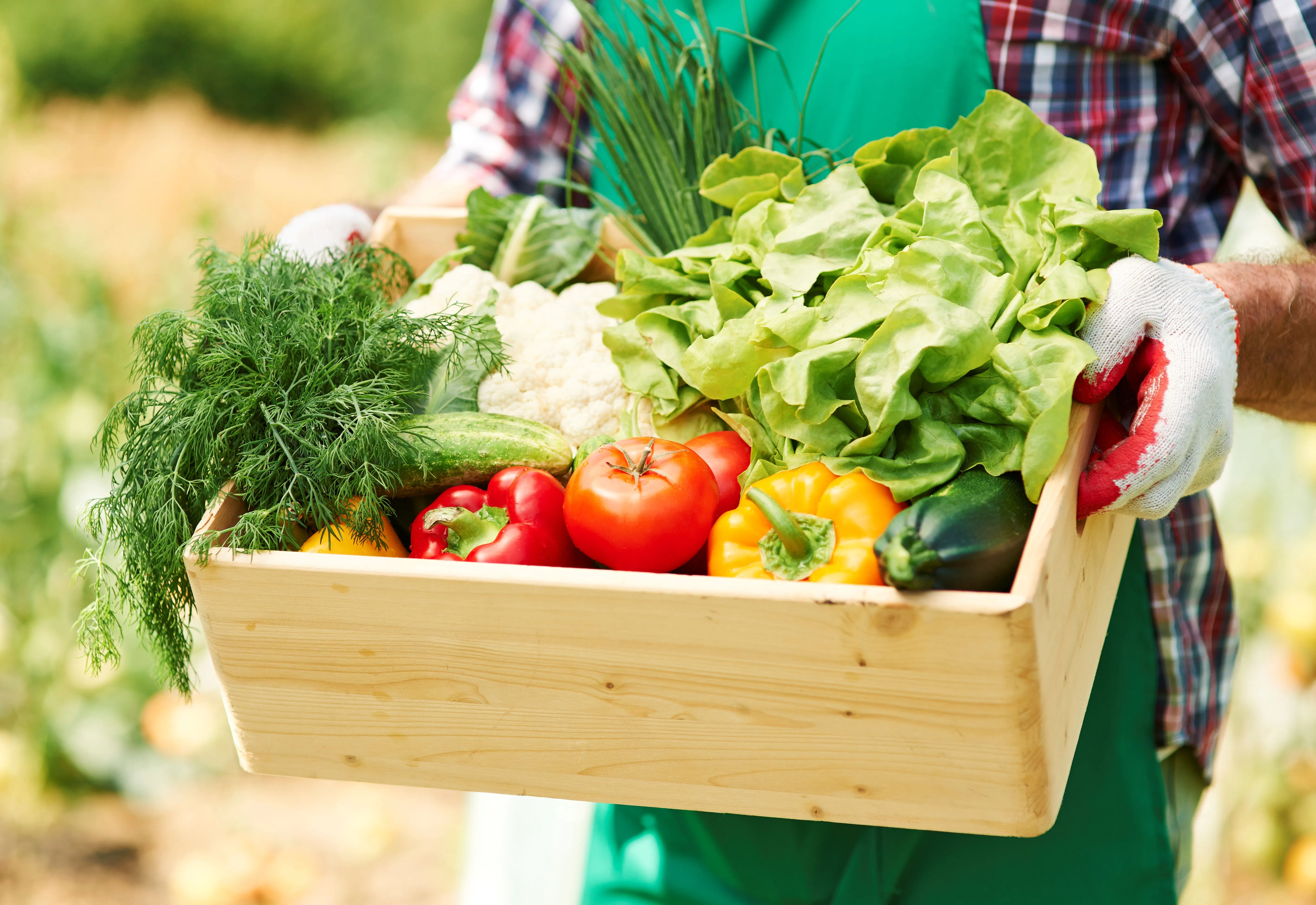 Banco de Alimentos de Botucatu comemora 10 anos de atuação