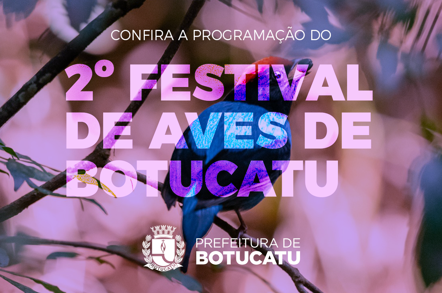 Botucatu promove nesta semana o 2º Festival de Aves, evento com programação diversificada