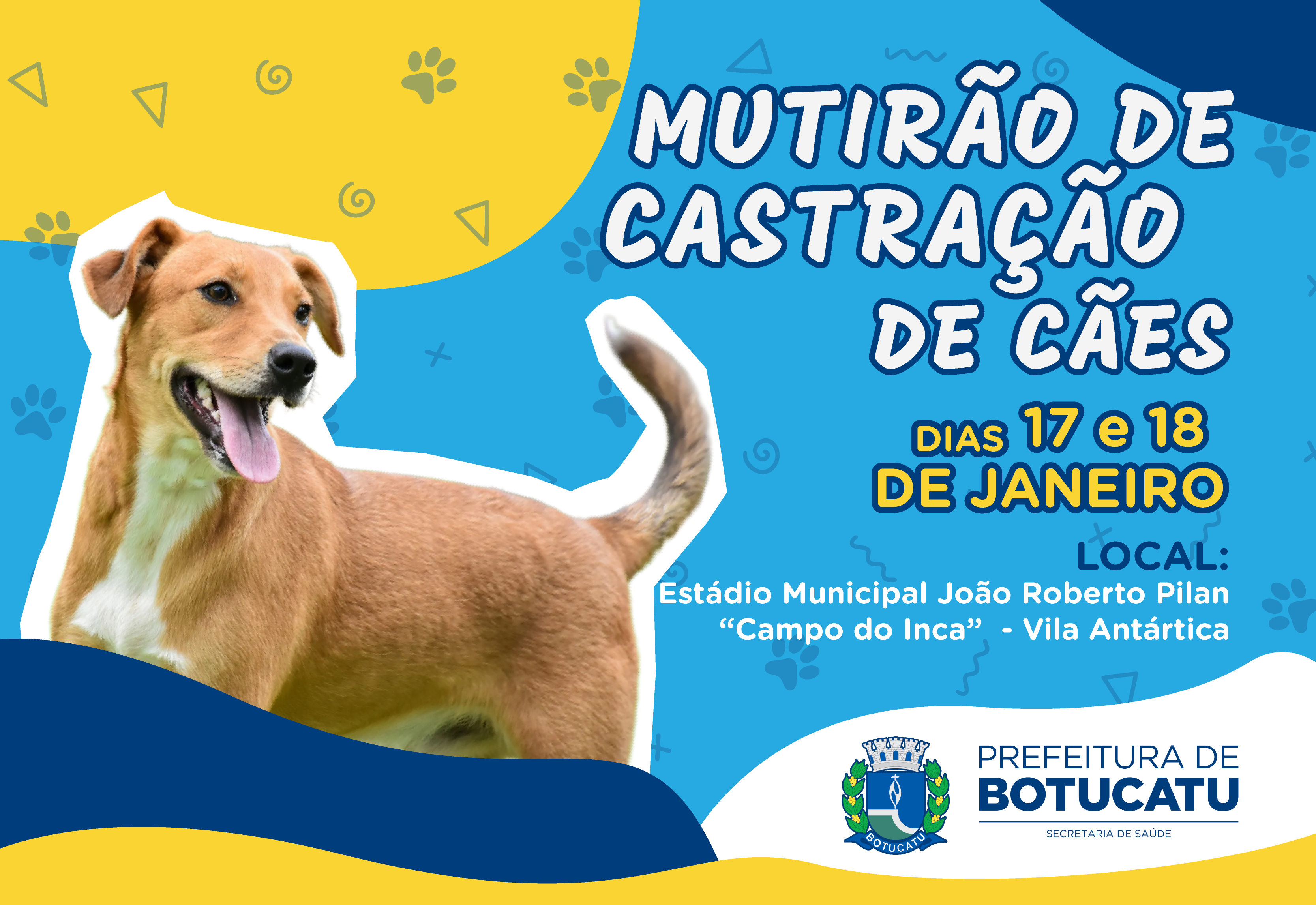 Prefeitura realizará mutirão de castração gratuita para cães na Vila Antártica