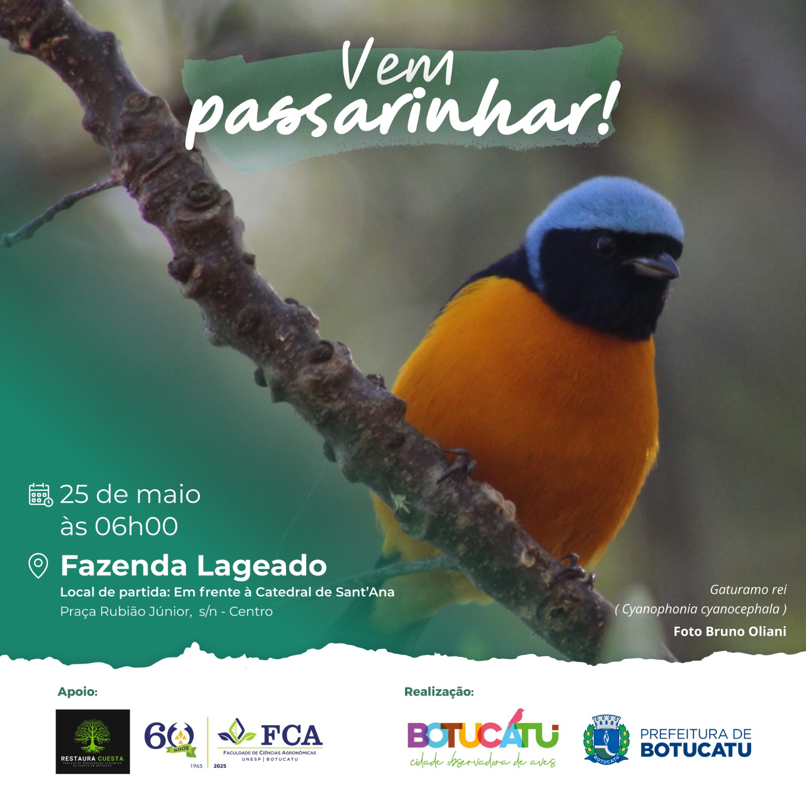 Maio no Lageado: Vem Passarinhar com a gente em Botucatu