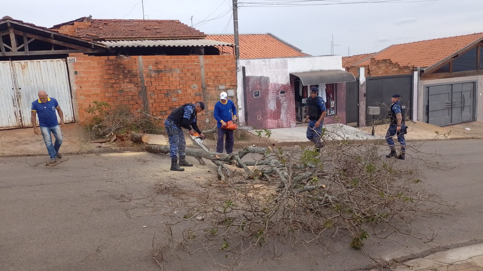 Tempestade provocou a queda de mais de 100 árvores e o destelhamento de 50 residências em Botucatu
