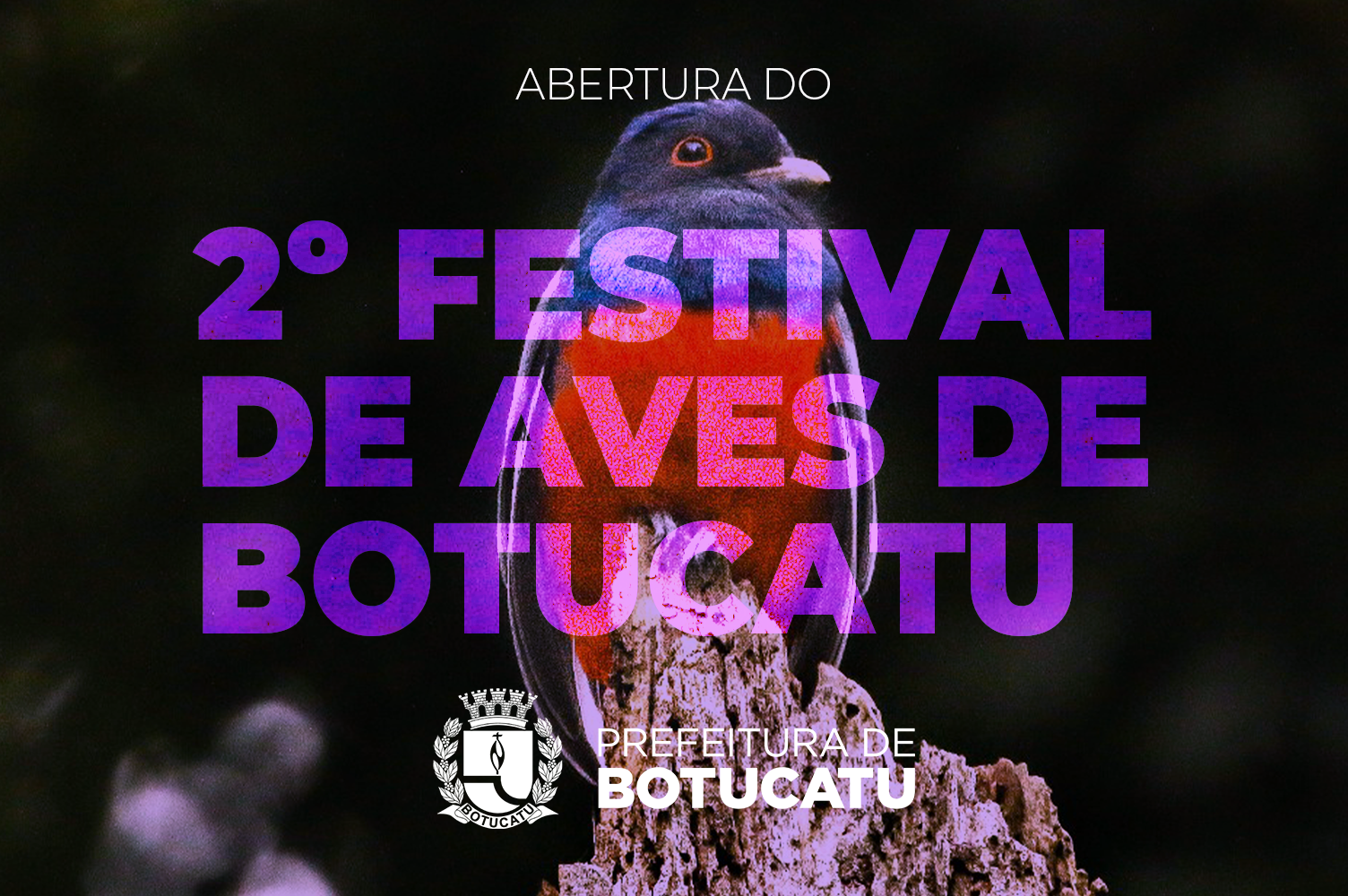 2º Festival de Aves de Botucatu acontece neste final de semana