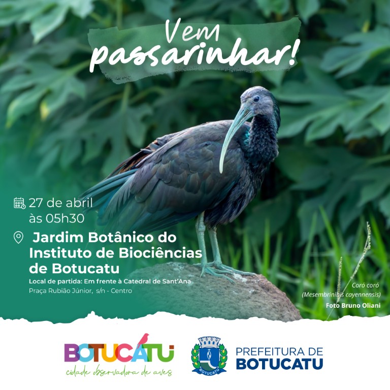 Abril no Jardim Botânico: Vem Passarinhar com a Gente em Botucatu