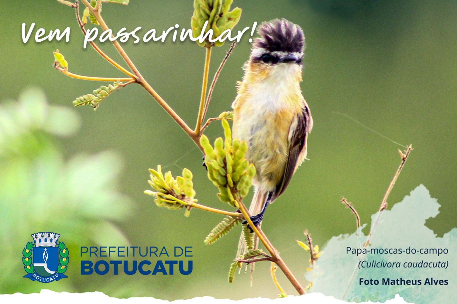 Turismo terá em Setembro mais uma edição do “Vem Passarinhar”