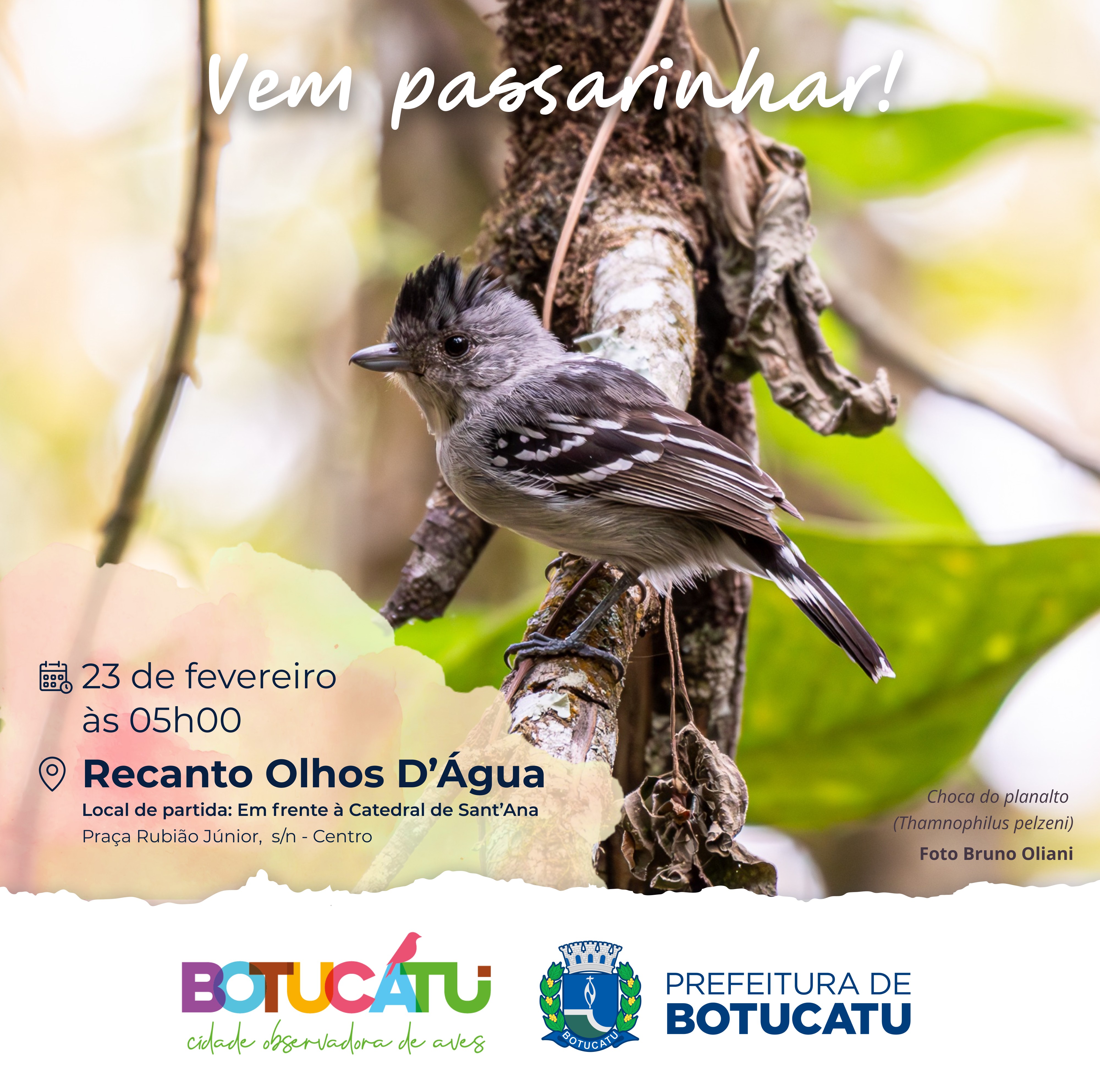 Turismo está com inscrições abertas para a Passarinhada de fevereiro