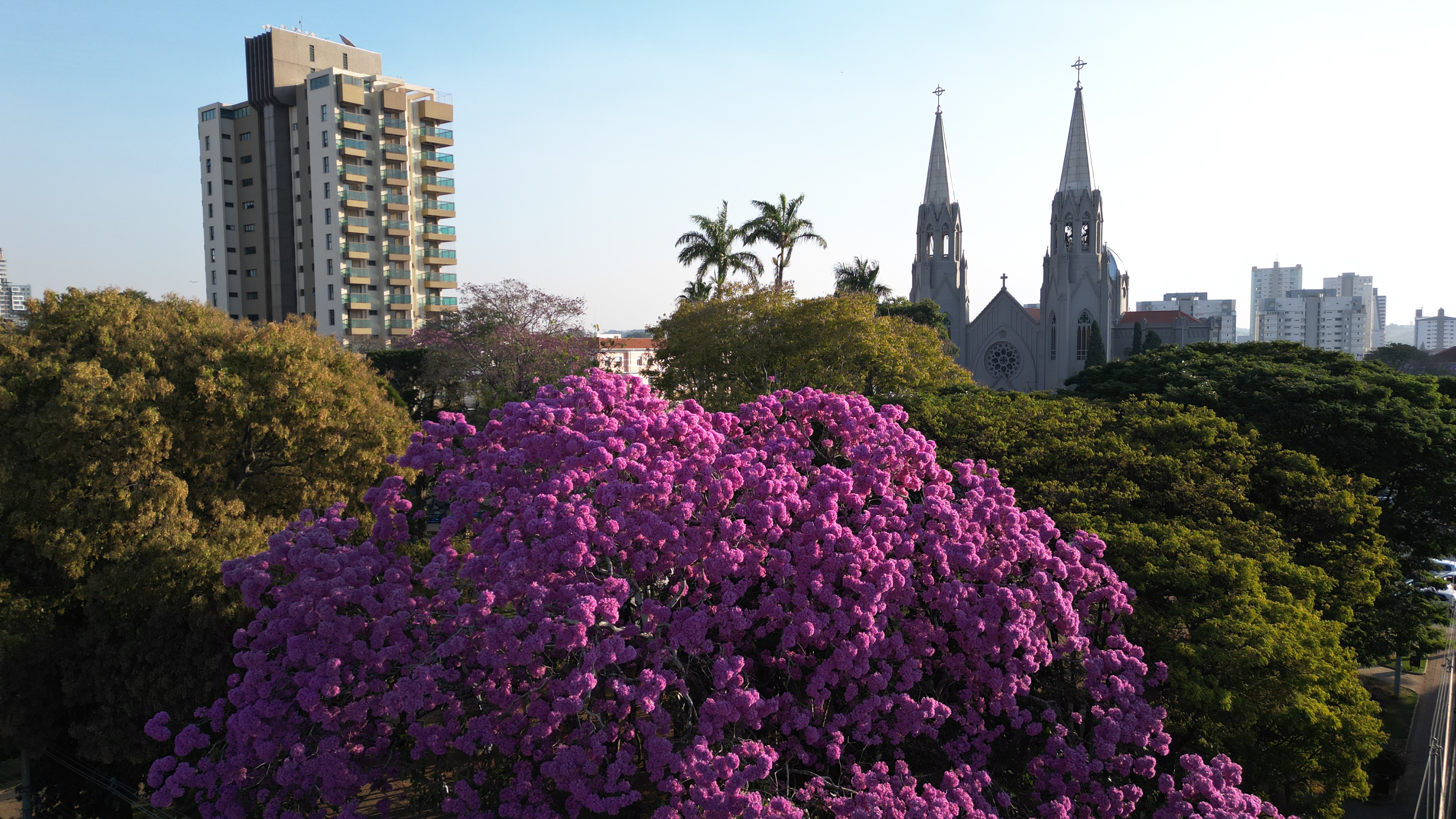 Prefeitura convida profissionais de turismo para Road 60+ SP na próxima terça, 26