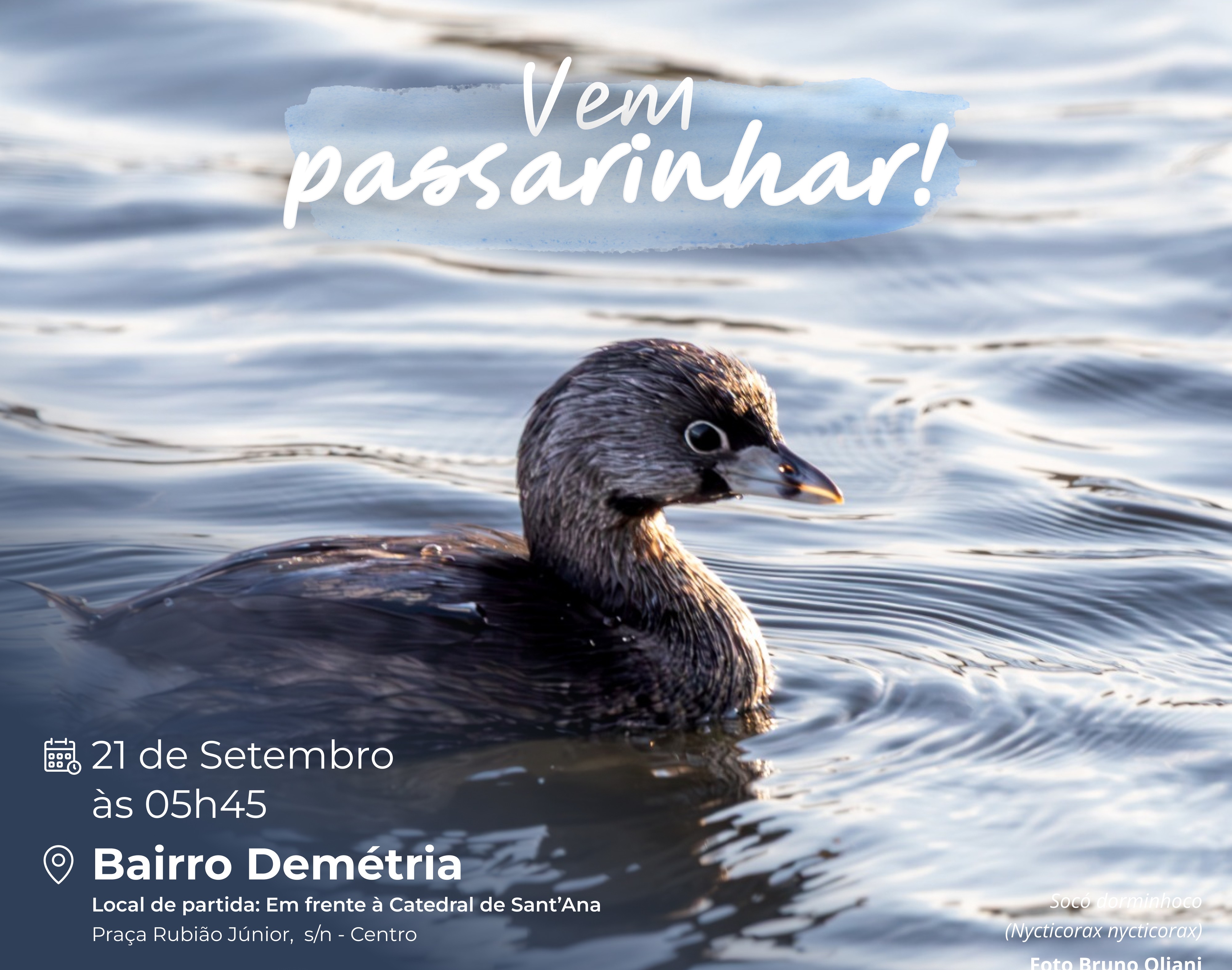 Passarinhada de setembro na Demétria será no domingo, 21