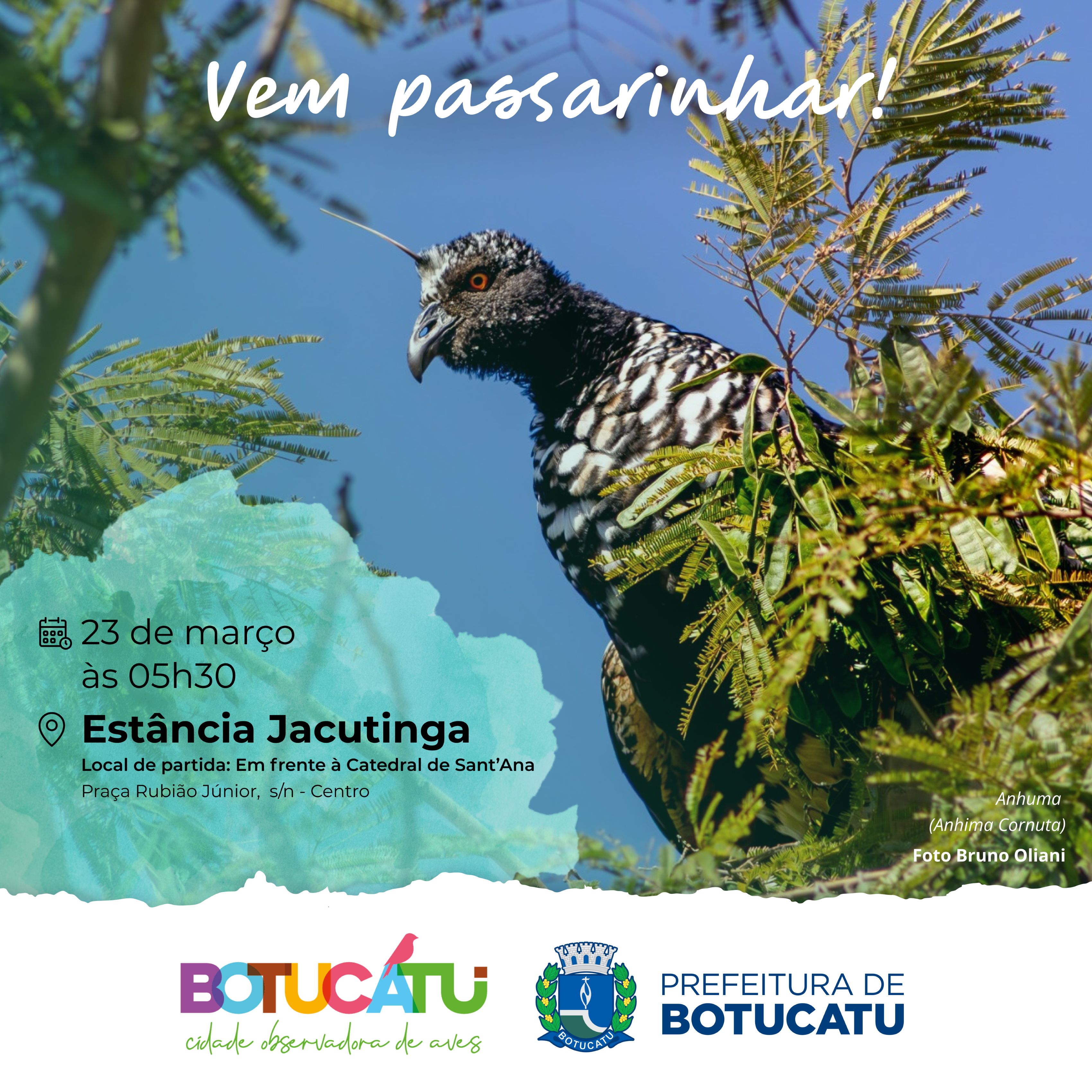 Turismo está com inscrições abertas para a Passarinhada de março